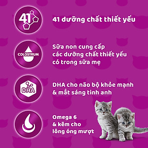 Đồ Ăn Cho Mèo Con Whiskas Vị Cá Biển Và Sữa Dạng Túi 1.1 Kg