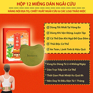 Hộp 12 Miếng Dán Ngải Cứu Tan Mỡ Eo Bụng Thon Gọn Detox Thải Độc Cơ Thể Hiệu Quả Tiện Lợi