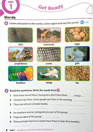 Oxford Discover 2nd Edition: Level 2: Student Book Pack