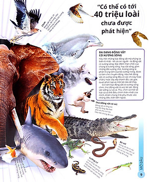 Sách Các Siêu Sao Trong Giới Động Vật