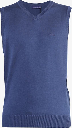 Áo len gile Aligro  ALENGL012