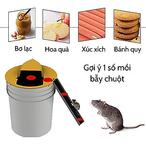 Bẫy Chuột Thông Minh Tự Động Hiệu Quả, Nắp Bẫy Chuột Thông Minh Nắp Trượt Tự Động Bập Bênh Không Kèm Thùng Nhựa