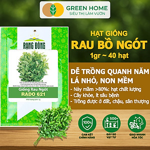 Hạt Giống Rau Bồ Ngót Greenhome, Gói 0,5g, Dễ Trồng Quanh Năm, Nảy Mầm Cao, Thu Hoạch Nhanh, Năng Suất Cao R18