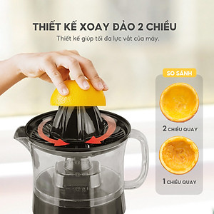 Máy vắt cam mini Lebenlang LBL3383 công suất 40W, dung tích 500ml, bảo hành 2 năm - hàng chính hãng