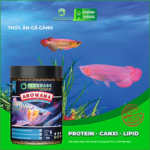Thức ăn Cá Rồng GREENABC - Arowana Fish – Hàm lượng protein 40% giúp tăng trưởng nhanh, tăng đề kháng, vảy rực rỡ - Hộp 350g