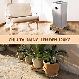 Đế Lót Để Chậu Cây Có Bánh Xe ANKAN 40cm Làm Giá Đỡ Kệ Hoa Cây Cảnh, Màu Vàng Nắng, Chịu Tải 120Kg