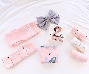 5 quần lót nữ tam giác cotton hình thiên nga