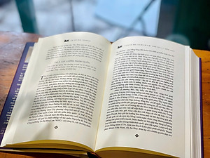 Lịch sử nội chiến ở Việt Nam từ 1771 đến 1802 - Tạ Chí Đại Trường (Bìa cứng in giới hạn)