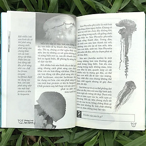 Sách 10 Vạn Điều Lý Thú Về Động Vật - Những Loài Ngộ Nghĩnh