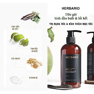 Bộ đôi Dầu Gội bồ kết & vỏ bưởi herbario 300ml + Dầu Xả Bồ Kết & vỏ bưởi Herbario 300ml (TẶNG xịt dưỡng tóc pomelo herbario 100ml)