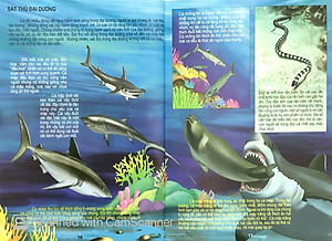 Sách Thế Giới Động Vật Kì Thú - Đại Dương Kì Bí