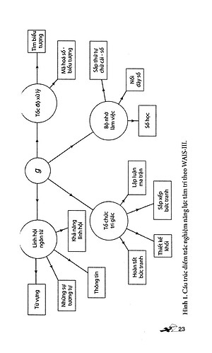 Sách Dẫn Luận Về Trí Thông Minh
