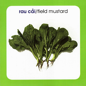 Sách Từ Điển Hình Ảnh Cho Bé: Rau Củ (Tái Bản 2019)