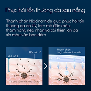 Bộ sữa chống nắng dưỡng da kiềm dầu bảo vệ hoàn hảo SPF50+ PA++++ 60ml và Serum dưỡng da và phục hồi da sau nắng 180ml Anessa