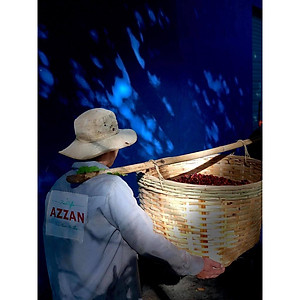 Azzan Special Blend (Robusta & Arabica) thuần chủng, lựa tay - Sản phẩm hộp cao cấp, quà tặng cho người thân