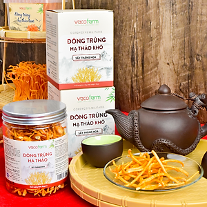 Đông trùng hạ thảo sấy thăng hoa hộp (30gr) lọ nhựa tiện lợi