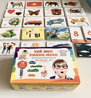 Bộ thẻ học thông minh 450 thẻ với 20 chủ đề về thế giới xung quanh cho bé (Flashcard)