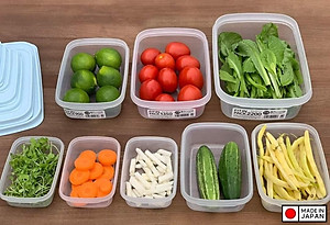 Hộp nhựa đựng thực phẩm nắp déo Fitin Pack các cỡ nội địa Nhật Bản
