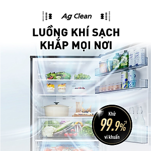 Tủ Lạnh Kháng Khuẩn Panasonic 251L NR-SP275CPSV - Cấp Đông Mềm - Siêu Tiết Kiệm - Ngăn Đá Dưới - Hàng chính hãng