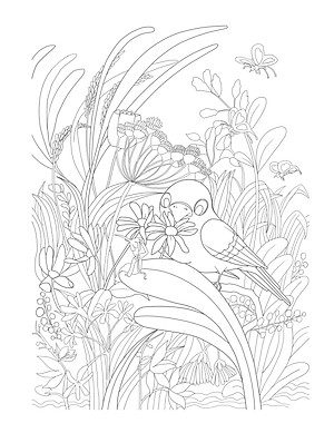 Trăm Hoa Đua Nở (Tô Màu Dành Cho Người Lớn)