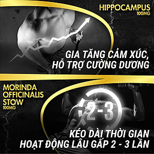 Viên uống phục hồi và tăng cường sức khỏe sinh lý nam giới Powergra Rino - Vỉ dùng thử 1 viên