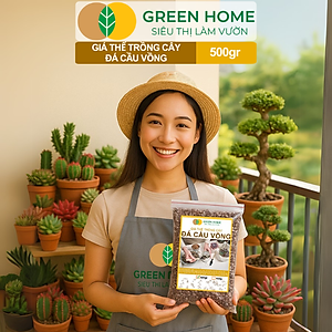 Đá Cầu Vồng Trồng Sen Đá GreenHome, Bao 500GR, Kích Rễ, Đậm Màu, Thoát Nước Tốt, Trộn Đất, Rải Bề Mặt Đều Tốt