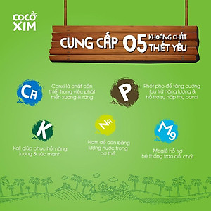 COMBO 6 Hộp Nước dừa đóng hộp Cocoxim Sen dung tích 1000ml/Hộp