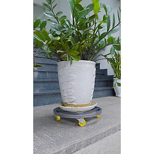 Đế lót chậu cây di động, bằng thép sơn tĩnh điện, đế có bánh xe dễ di chuyển