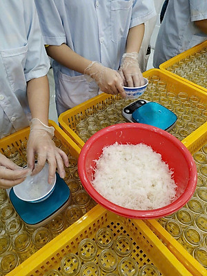 [TOP SALE] TỔ YẾN CHƯNG ĐÔNG TRÙNG HẠ THẢO 100% Tổ Yến Thật (Hàm Lượng 30%) (6 Lọ X 70ML) - Đệ Nhất Yến Đảo - Giảm Stress - Giảm Mệt Mỏi - Đẹp Da - Đẩy Lùi Lão Hóa - Điều Hòa Đường Huyết - Ổn Định Huyết Áp - Tăng Sức Đề Kháng - Tăng Sức Đề Kháng