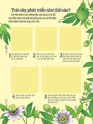 First Sticker Book - Sách Dán Hình Đầu Đời Cho Bé - Trái Cây Và Rau Củ