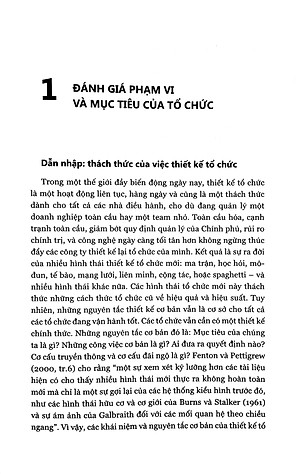 Thiết Kế Tổ Chức (Tái Bản 2022)