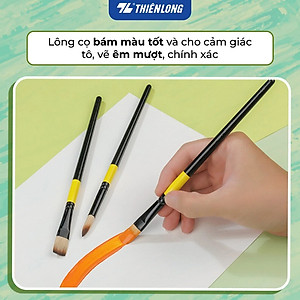 Bộ 5 Cọ vẽ màu nước Thiên Long  đầu Round/ Flat/ Filbert - Cọ lông mềm cho cảm giác tô, vẽ êm mượt