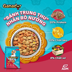 Thức Ăn Hạt Cho Chó Lớn Vị Thịt Bò Ganador Adult Roasted Beef Gói 3kg