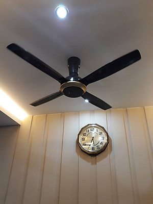 Quạt trần Panasonic F-56XPG 4 cánh có điều khiển - Hàng chính hãng