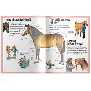 Sách Em Muốn Biết Vì Sao Ngựa Có Móng Và Những Câu Hỏi Khác Về Ngựa