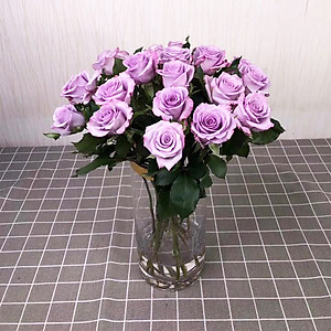 Dinh Dưỡng Giữ Hoa Hồng cắm bình Lâu Tàn - Food For Cut Flowers (Set 50 gói loại 5gr) giúp hoa luôn tươi mớ, cứng cáp gấp 2 lần và trong 14 ngày không thối nước hay cắt tỉa gốc hoa, nhập khẩu Israel