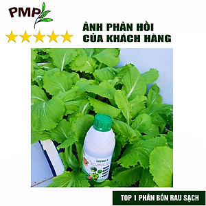 Combo Phân Đậu Nành Soymic V - Dịch Chuối Cho Rau Sạch