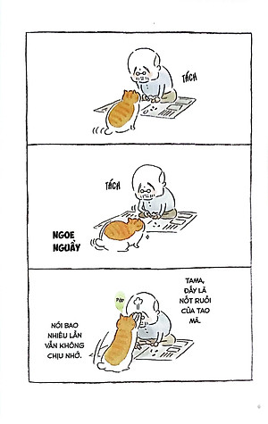 Thị Trấn Mèo Tập 1 (Tái Bản 2019)