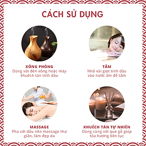 Tinh Dầu Xông Phòng Tự Chọn Mùi TOKI MORI (10ml) Xuất Khẩu Nhật Bản, Khử Mùi, Kháng Khuẩn, Đuổi Muỗi, Giải Cảm