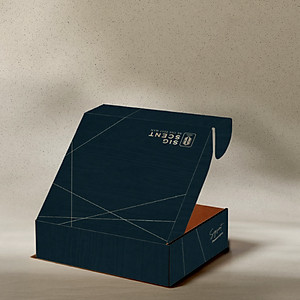 [SIGSCENT GIFTSET]Xà bông hương nước hoa Pháp Woody Urban & Sữa tắm dầu gội cho nam Rebellious 2in1 thương hiệu SIGSCENT