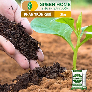Phân Trùn Quế Greenhome, Bao 2kg, Dinh Dưỡng Hữu Cơ, Không Mùi, Tốt Cho Lan, Bonsai, Rau, Cây Ăn Trái