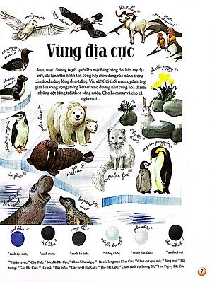 Sách Những Mảnh Ghép Đa Sắc Của Các Hệ Sinh Thái