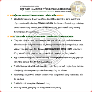 Hộp Cơm Hâm Nóng Cắm Điện HT SYS  - COOKING LUNCHBOX DFH C02 - Hộp Cơm Cắm Điện Có Thể Nấu Chín Và Hâm Nóng Thức Ăn - 2 lít,4 Ngăn - Ruột Bằng Inox SUS304 Cao Cấp - Hàng Nhập Khẩu 