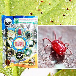 VƯỜN SINH THÁI chăm sóc cây trồng -  Thuốc trừ sâu sinh học Vi Sinh - Sạch nhện đỏ, bọ trĩ, rầy rệp - Với hàng tỷ lợi khuẩn đối kháng - 100% Thiên Nhiên