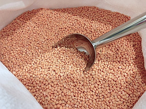 Đậu lăng đỏ Ấn Độ/Canada không biến đổi gen_Red Lentils from India/Canada non GMO