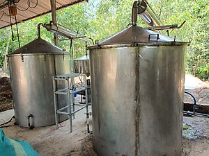 Tinh dầu Gỗ Đàn Hương 100ml Mộc Mây - tinh dầu thiên nhiên nguyên chất 100% - chất lượng và mùi hương vượt trội - Có kiểm định