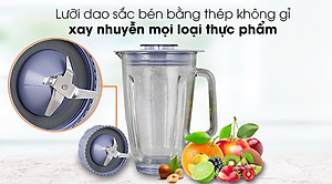 Máy xay sinh tố Philips HR2222/00 (700W) - Hàng Chính Hãng