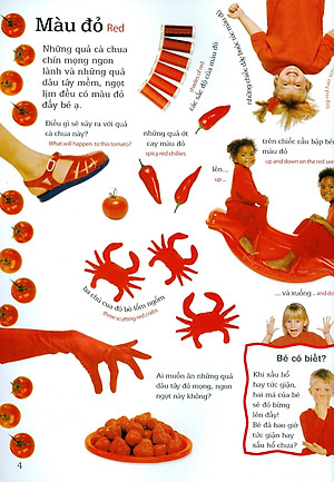 Sách Lớp Học Vui Về Màu Sắc - Colours