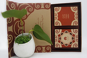 HỘP NẤM LINH CHI AN BÌNH