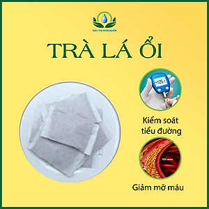Trà Lá Ổi hộp 30 Túi Lọc x3gr của Siêu Thị Thiên Nhiên